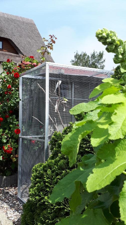 Mönchgut Boddenblick Wohnung 2 Groß Zicker Exteriör bild