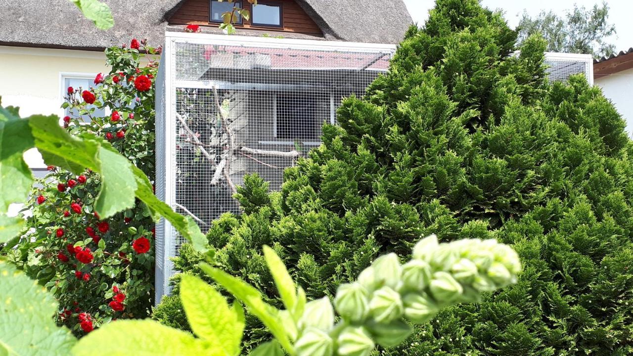 Mönchgut Boddenblick Wohnung 2 Groß Zicker Exteriör bild